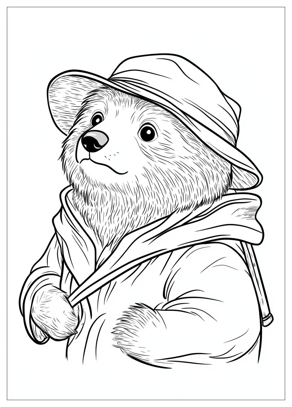 Paddington Színező 23