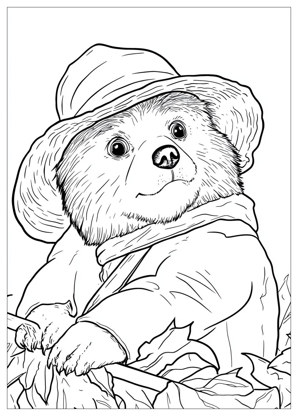 Paddington Színező 4