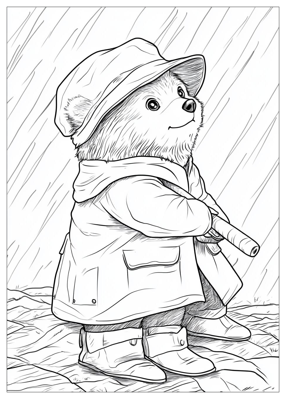 Paddington Színező 8