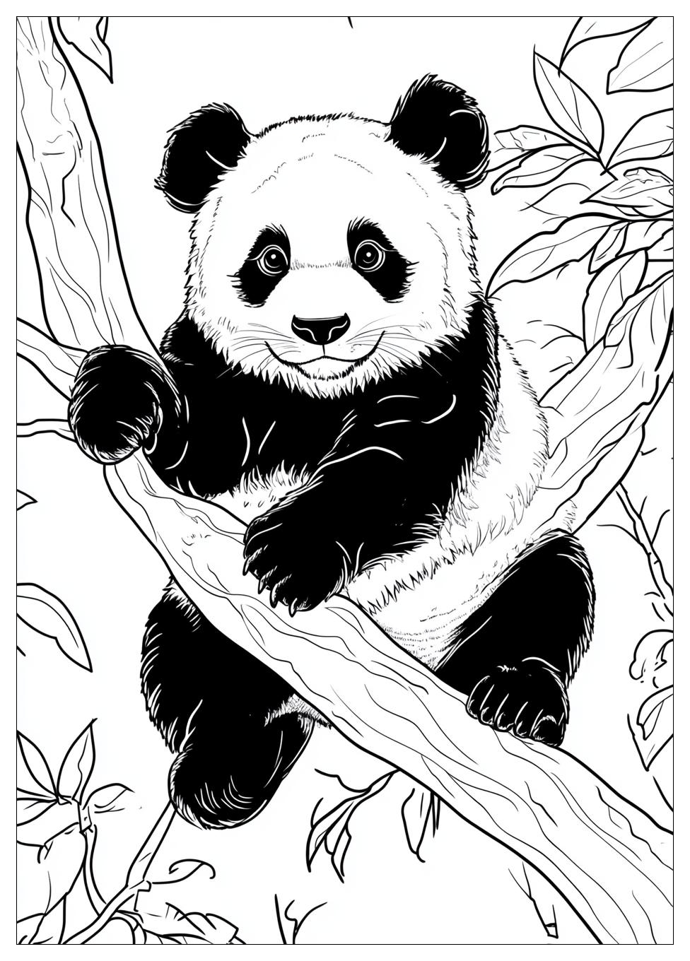 Panda Színező 19