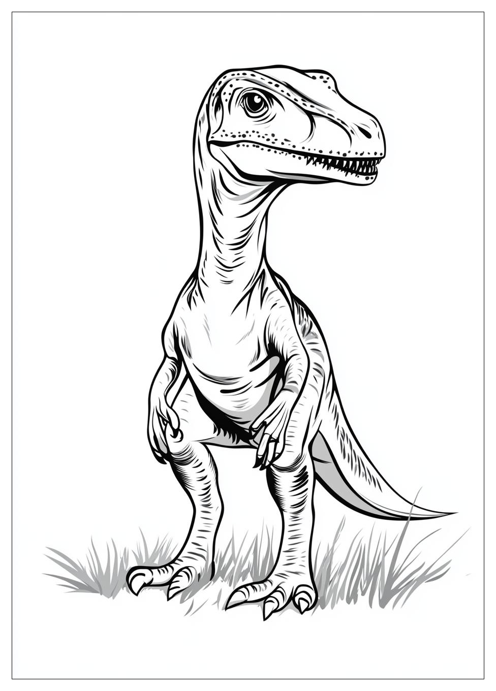 Velociraptor Színező 7