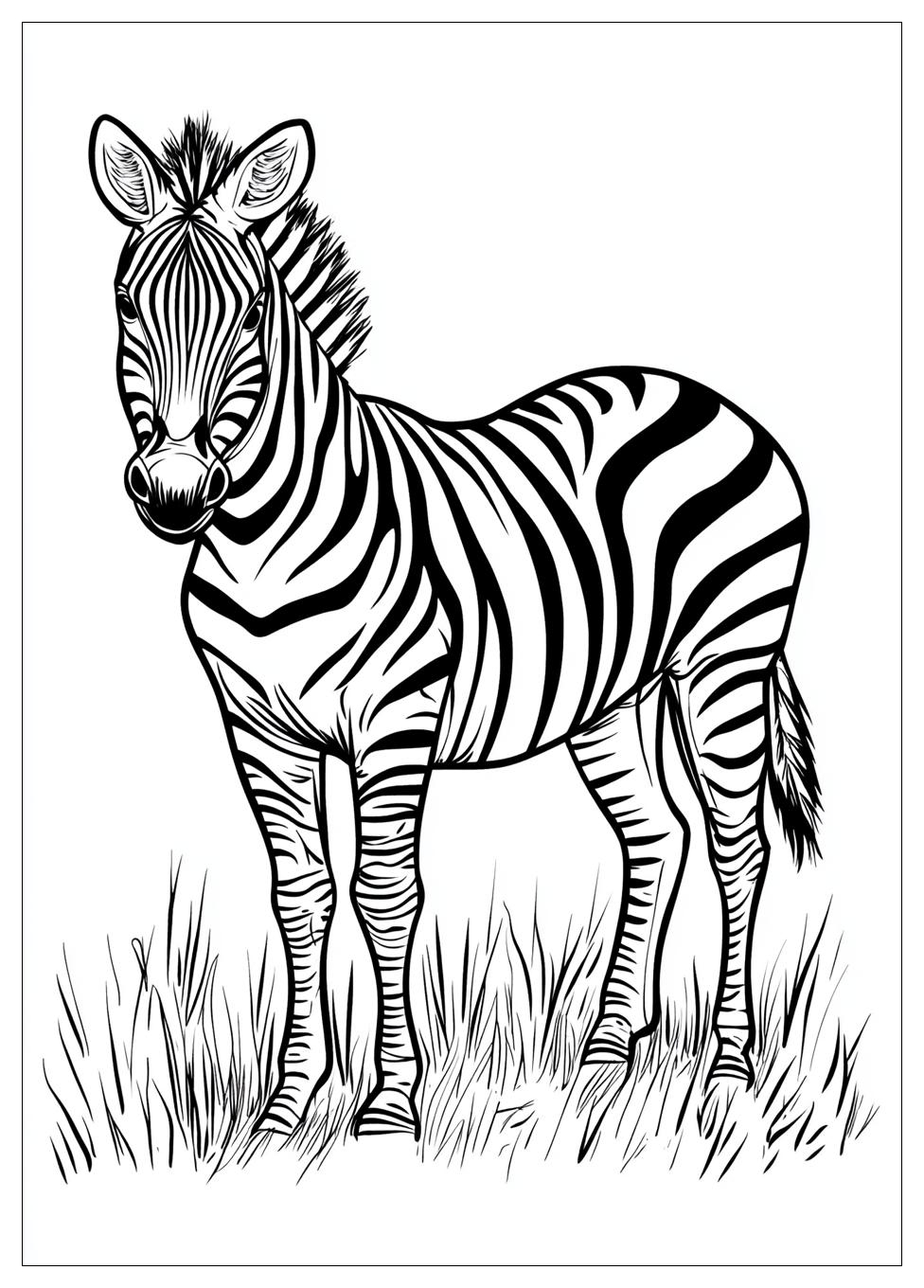 Zebra Színező 16