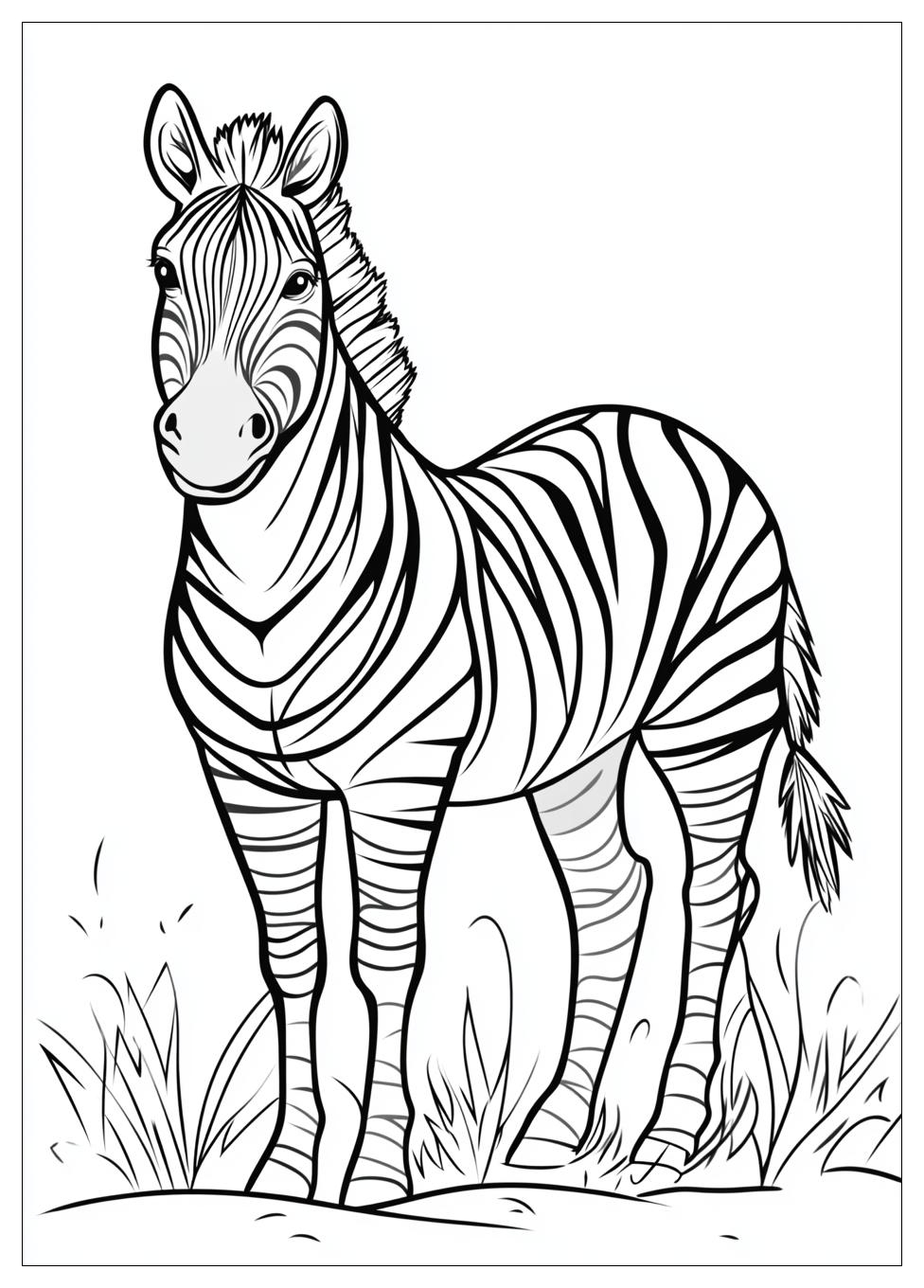 Zebra Színező 20