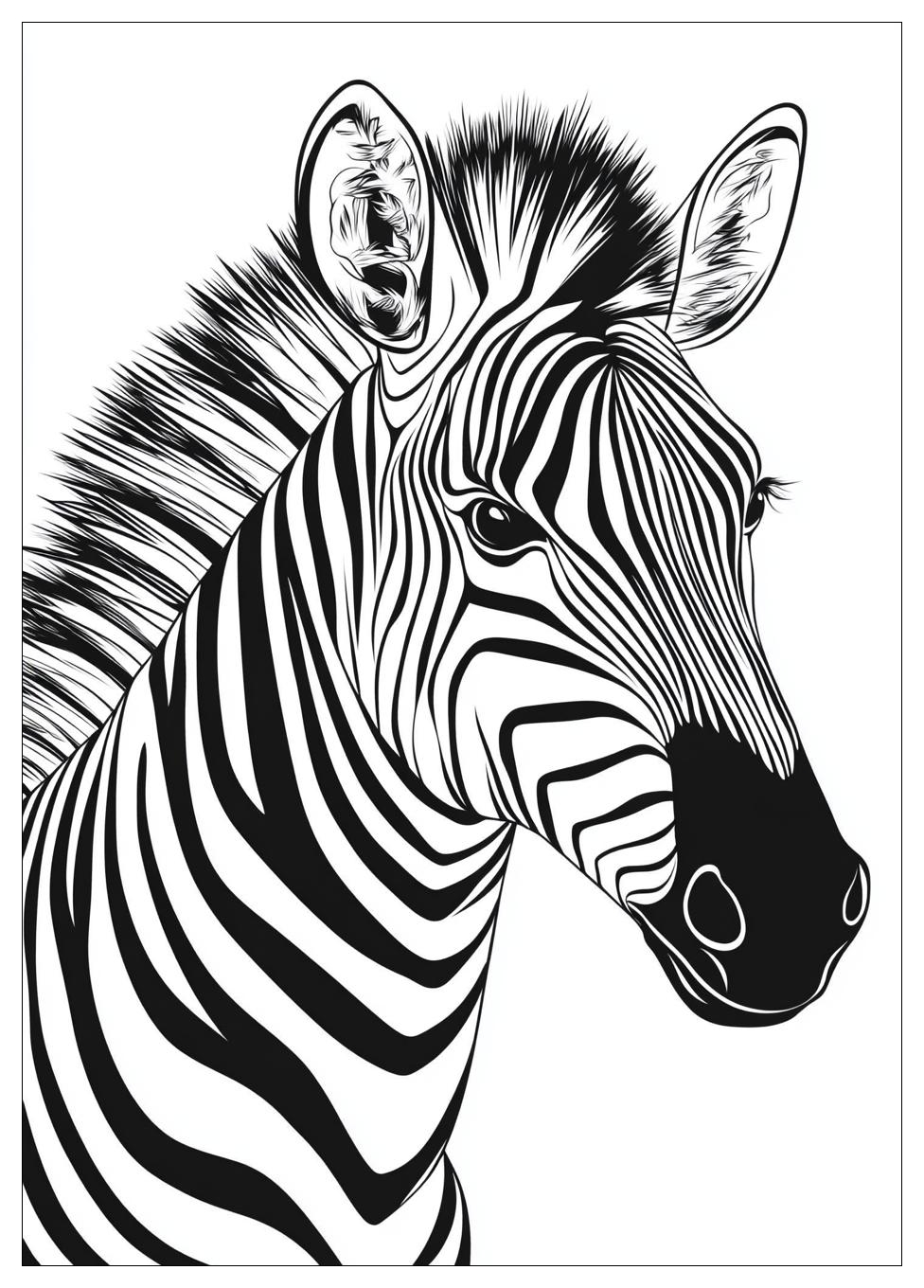 Zebra Színező 24