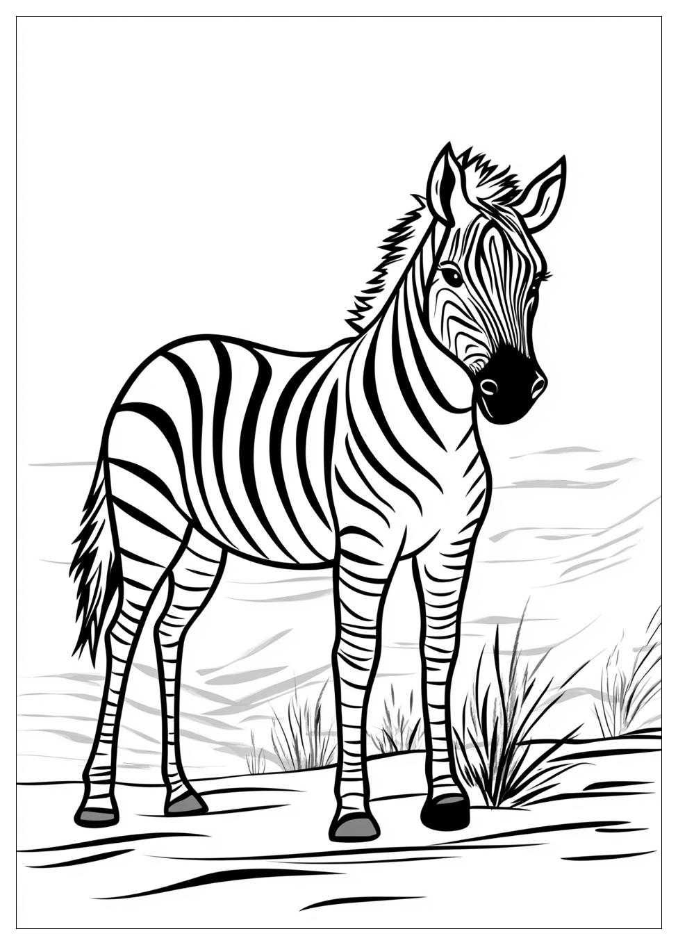 Zebra Színező 3