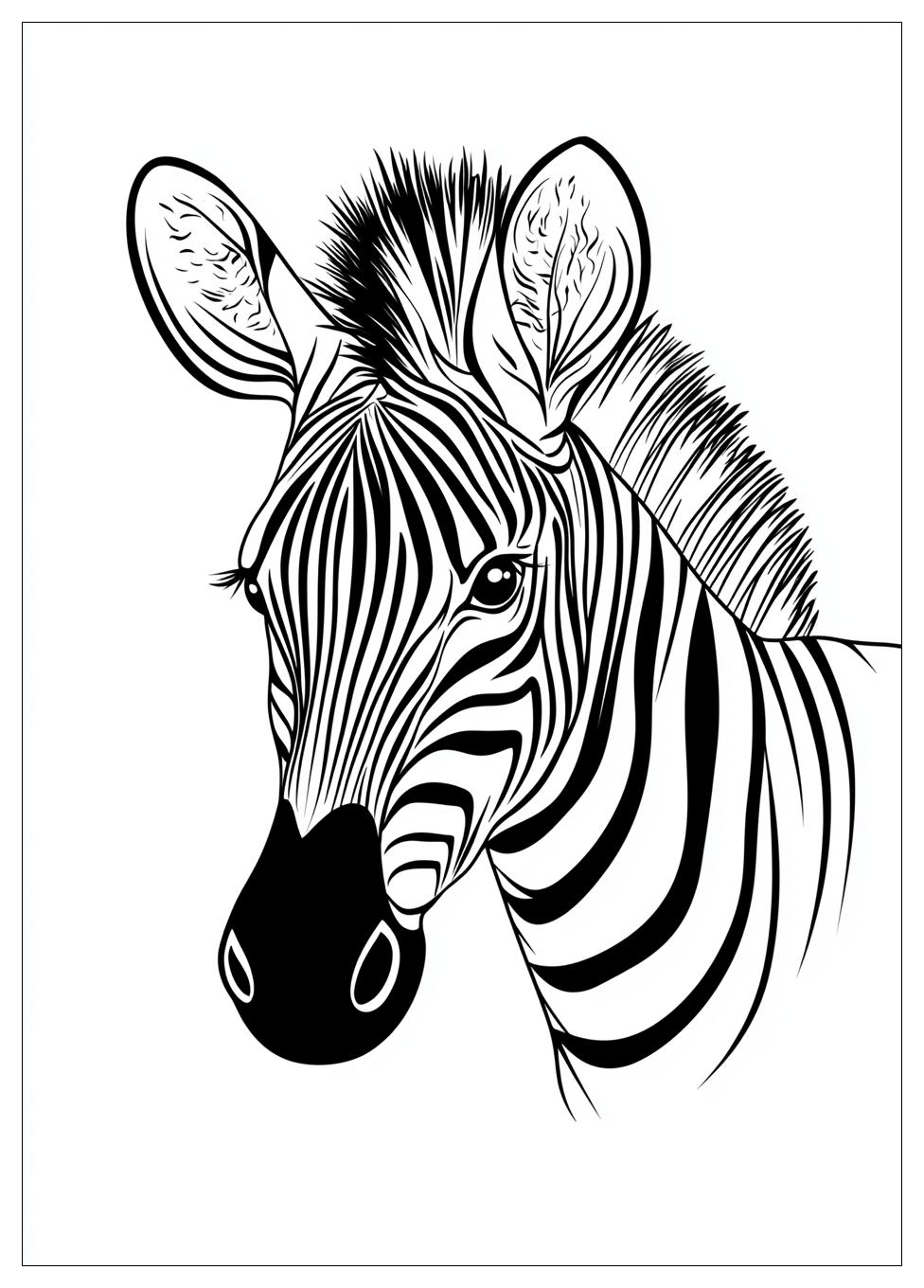 Zebra Színező 9